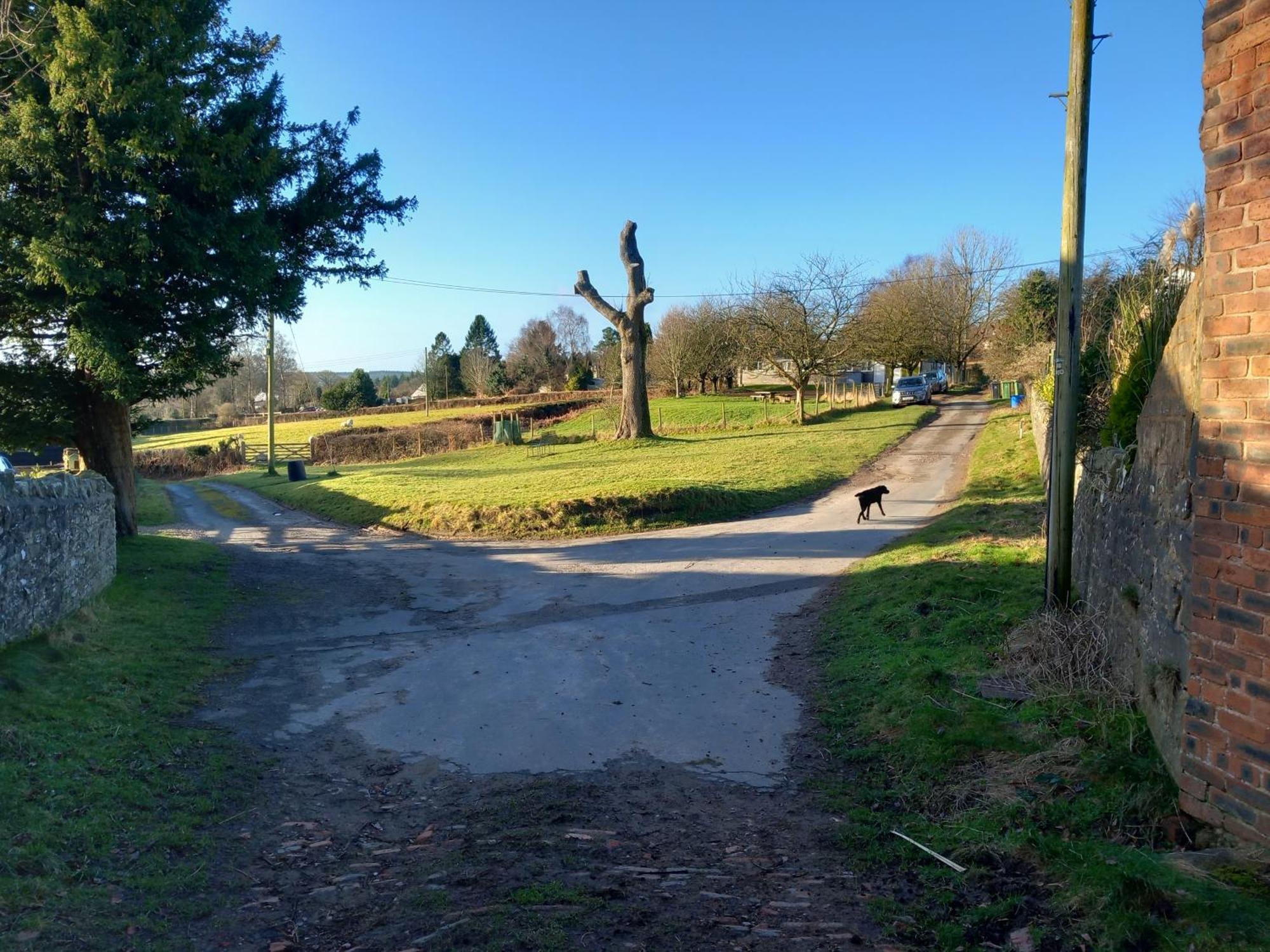 The Bungalow, Forest Of Dean Coleford  Exteriör bild