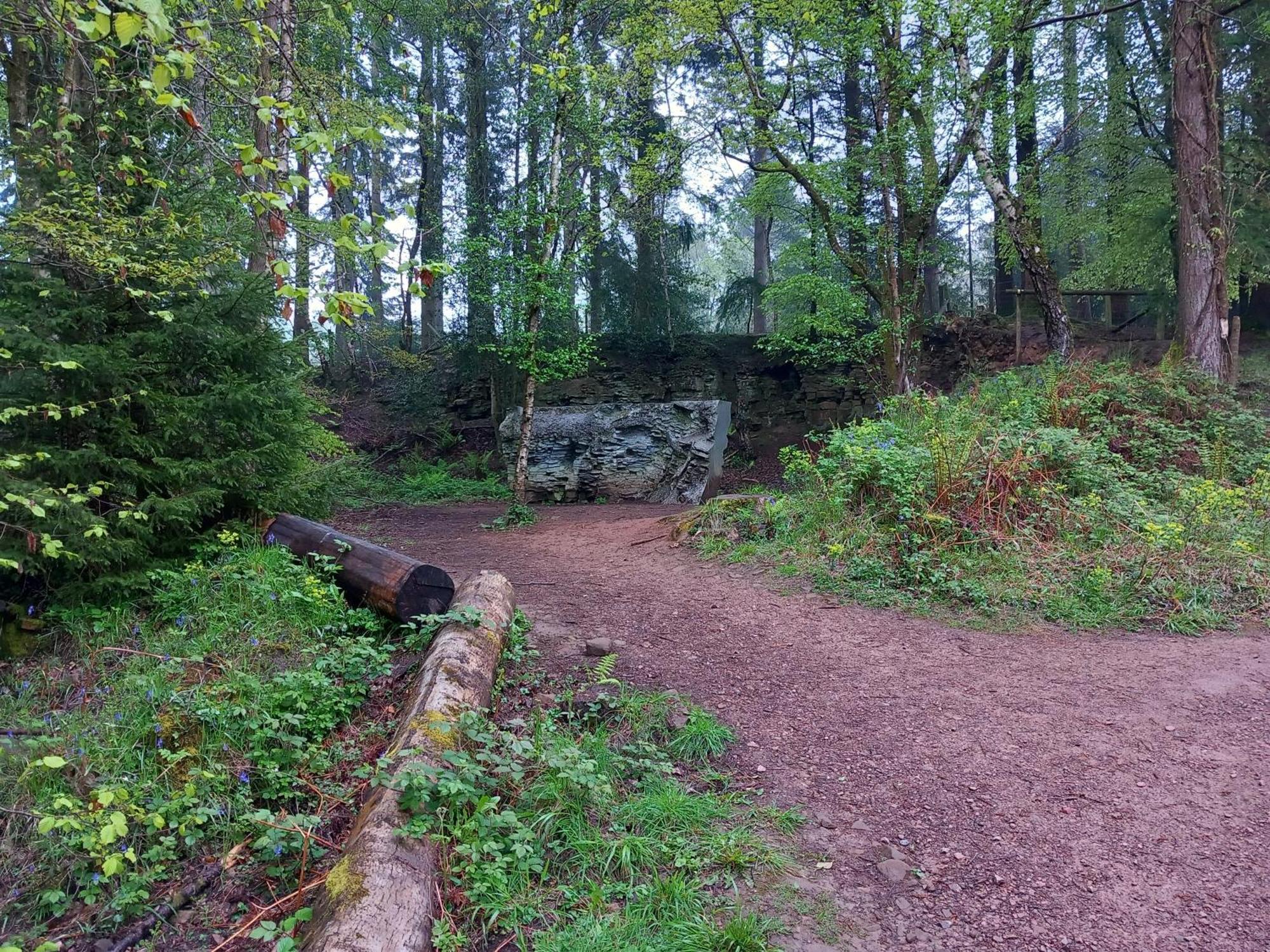 The Bungalow, Forest Of Dean Coleford  Exteriör bild
