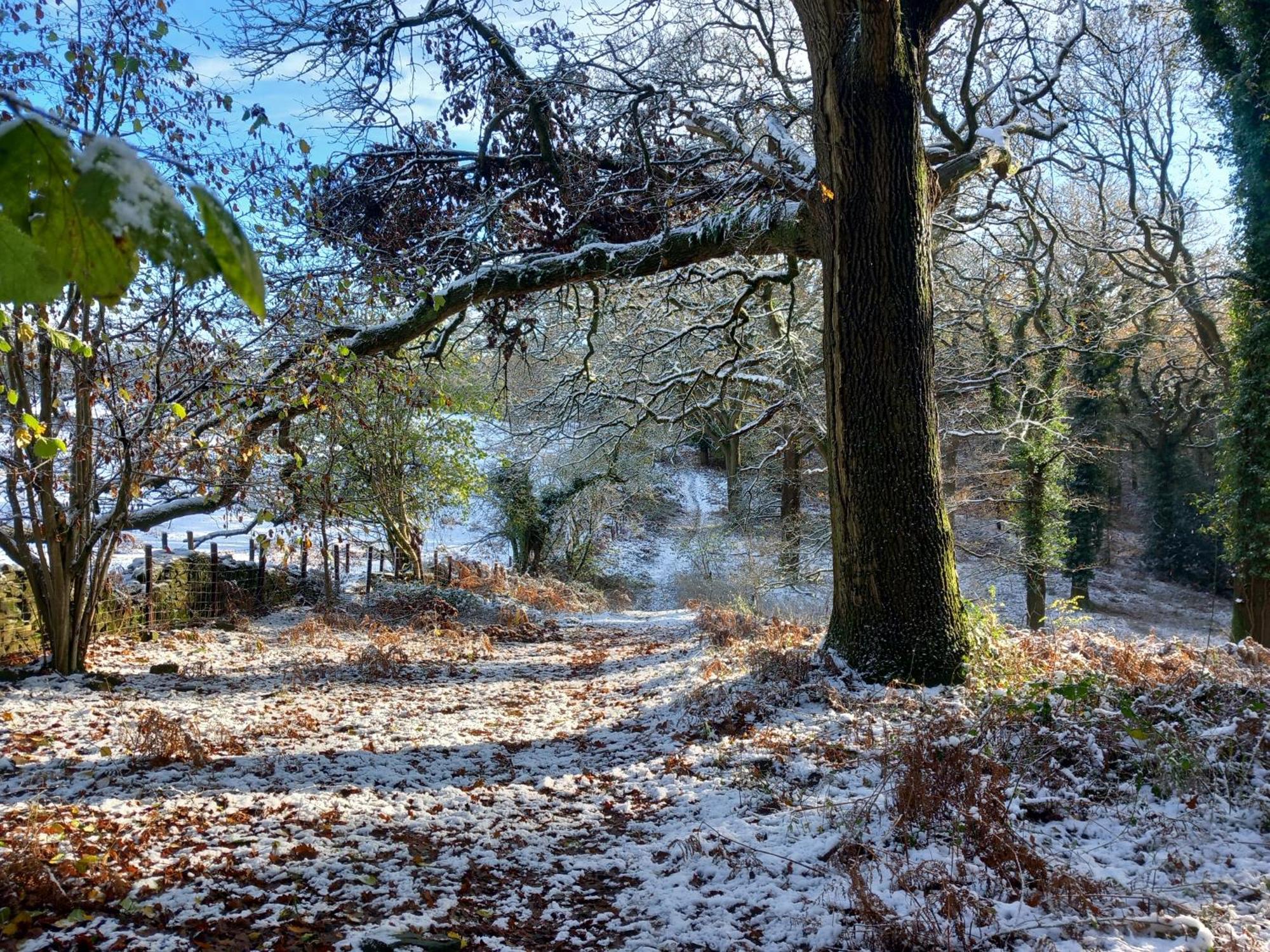 The Bungalow, Forest Of Dean Coleford  Exteriör bild